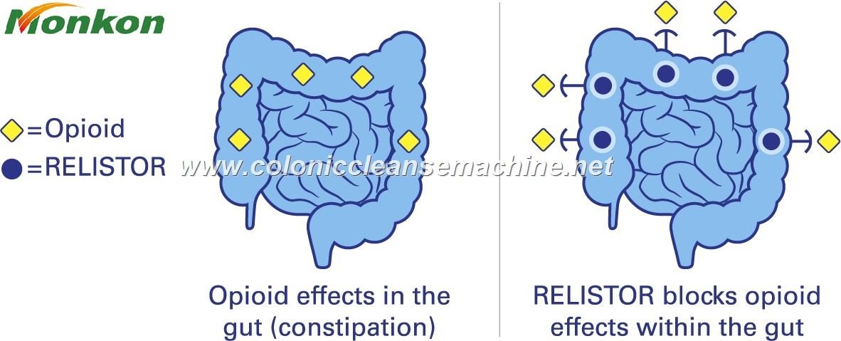 Hidroterapia De Colon Precio México