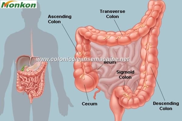 Hidroterapia De Colon Precio México