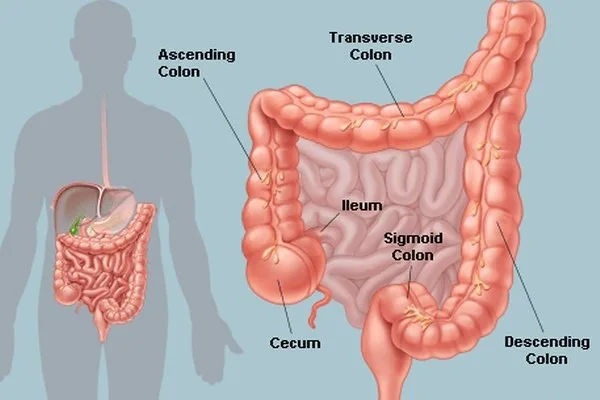 Qué significa ofrecer un “15 días de limpieza” con pastillas en mi clínica de Tijuana y cómo integrarlo de forma segura — How Much Does Colonic Hydrotherapy Cost (5).JPG