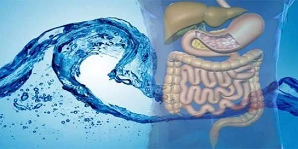 Inventario esencial de repuestos para MK-560 en zonas remotas de México — colon hydro gerät preis，colon hydro therapie geräte preise (21).jpg